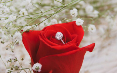 What is Upshot-Dating®, the Modern Queen’s Way to Date